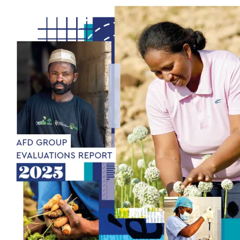 afd-group-evaluations-report-2025-thumbnail