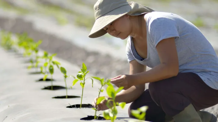 AFD Nos programmes de recherche