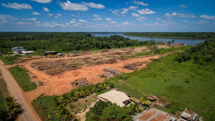 Exploitation forestière