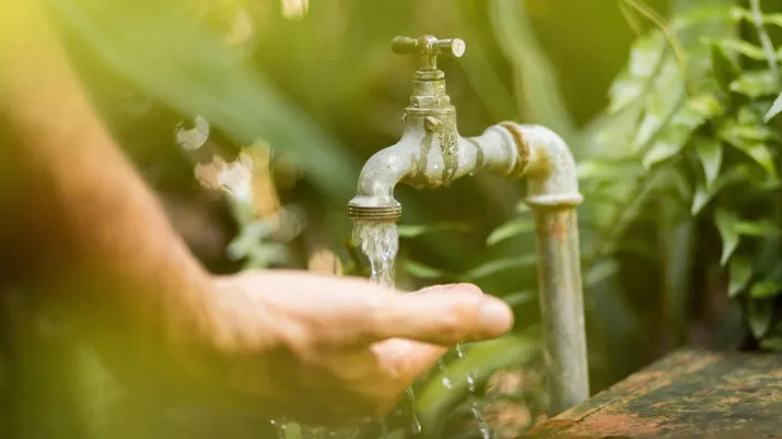 A governance of vital resources by the Commons ensures their preservation.