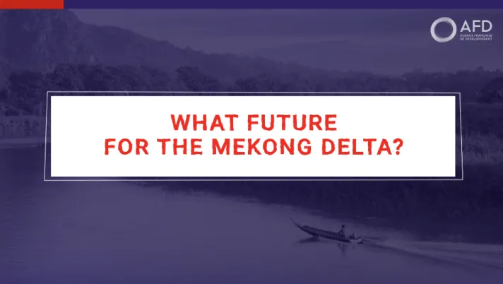 The future for the Mekong Delta with Marie-Noëlle Woillez