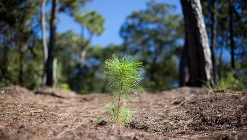 Le dispositif développement durable de l'AFD