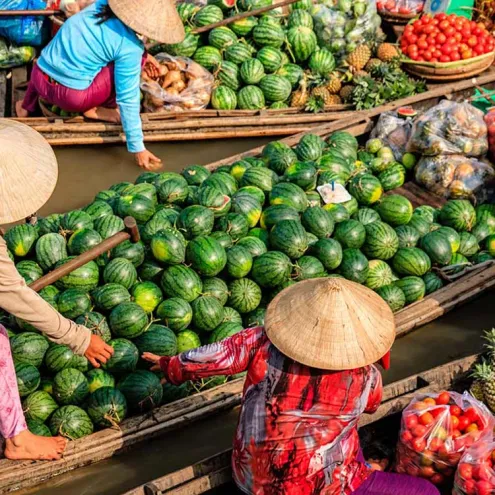 Rapport des évaluations genre