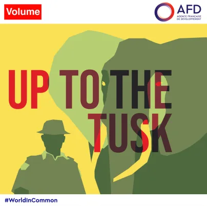 podcast Up to the Tusk