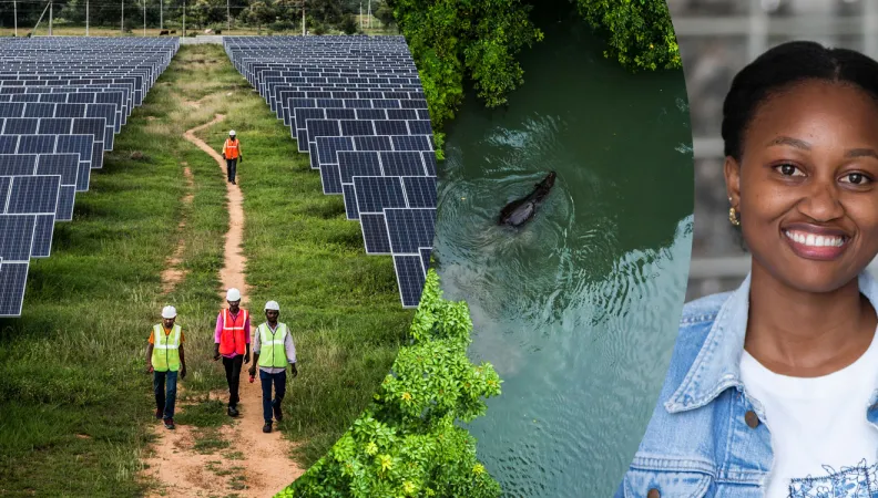 AFD Group - presentation